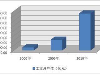 2001-2010繤ҵʮ귢չ