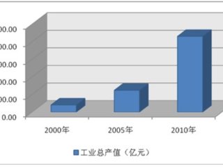 2001-2010ҵʮ귢չ