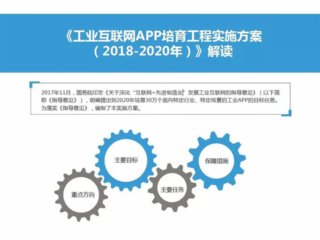 ҵAPPʵʩ2018-2020꣩ӡ